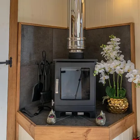 Vakantiehuis Honey Bee Shepherd's Hut - With Woodfired Hot Tub